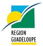Région Guadeloupe / Politique énergétique - concertation Région Guadeloupe / Politique énergétique - concertation