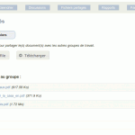 Espace de partage de fichiers - Groupe de travail